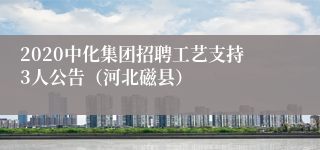 2020中化集团招聘工艺支持3人公告（河北磁县）