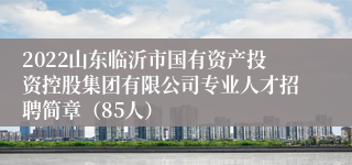 2022山东临沂市国有资产投资控股集团有限公司专业人才招聘简章（85人）