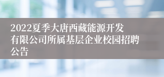 2022夏季大唐西藏能源开发有限公司所属基层企业校园招聘公告