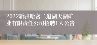 2022新疆哈密二道湖天湖矿业有限责任公司招聘1人公告