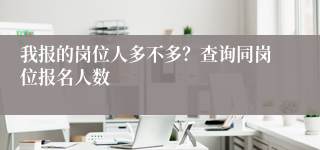 我报的岗位人多不多？查询同岗位报名人数
