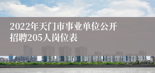 2022年天门市事业单位公开招聘205人岗位表