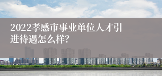 2022孝感市事业单位人才引进待遇怎么样？