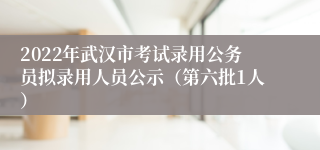 2022年武汉市考试录用公务员拟录用人员公示（第六批1人）