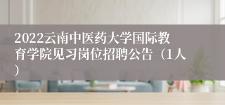 2022云南中医药大学国际教育学院见习岗位招聘公告（1人）