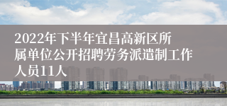 2022年下半年宜昌高新区所属单位公开招聘劳务派遣制工作人员11人