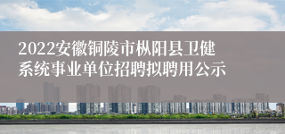 2022安徽铜陵市枞阳县卫健系统事业单位招聘拟聘用公示